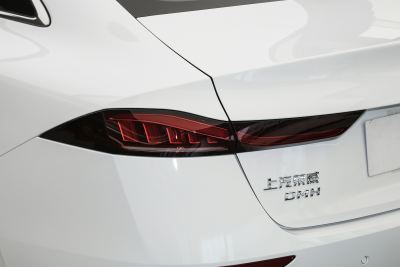 2025款 DMH 125km 世界冠军旗舰版-外观-图片-有驾