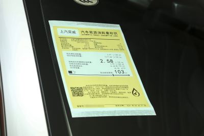 2025款 DMH 125km 世界冠军旗舰版-外观-图片-有驾