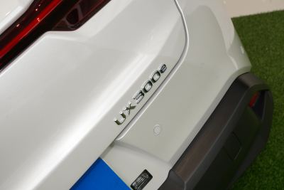 2020款 300e 纯·享版-外观-图片-有驾