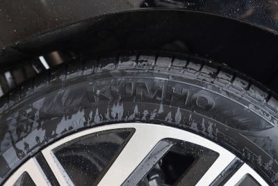 2026款 改款 3000万辆甄选款 300TSI DSG 超越版-外观-图片-有驾