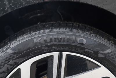 2026款 改款 3000万辆甄选款 300TSI DSG 超越版-外观-图片-有驾