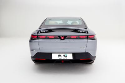 2024款 560MAX 185kW-外观-图片-有驾