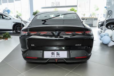 2024款 560MAX 185kW-外观-图片-有驾