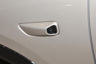 2025款 100kWh 30万台纪念版-外观-图片-有驾