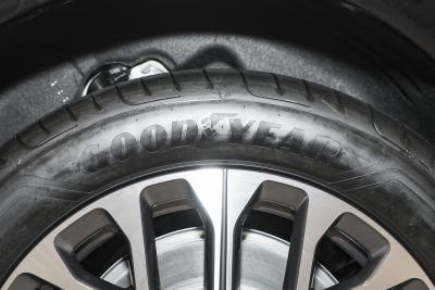 2025款 100kWh 30万台纪念版-外观-图片-有驾