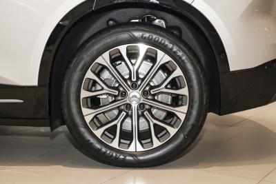 2025款 100kWh 30万台纪念版-外观-图片-有驾