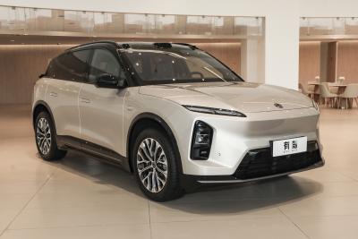 2025款 100kWh 30万台纪念版-外观-图片-有驾