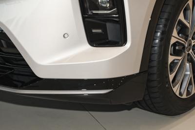 2025款 100kWh 30万台纪念版-外观-图片-有驾