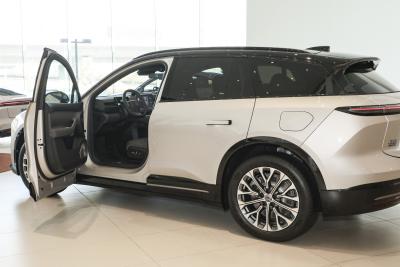 2025款 100kWh 30万台纪念版-外观-图片-有驾