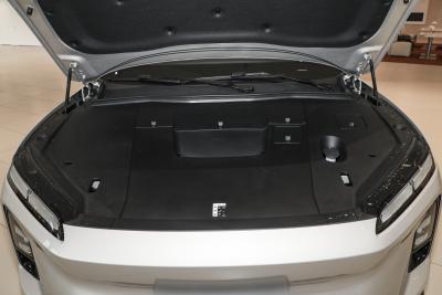 2025款 100kWh 30万台纪念版-外观-图片-有驾