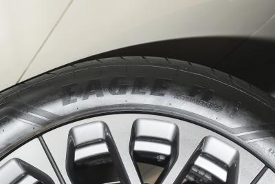 2025款 100kWh 30万台纪念版-外观-图片-有驾