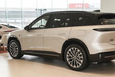 2025款 100kWh 30万台纪念版-外观-图片-有驾