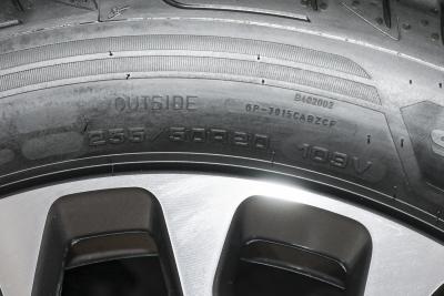 2025款 100kWh 30万台纪念版-外观-图片-有驾