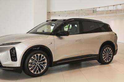 2025款 100kWh 30万台纪念版-外观-图片-有驾