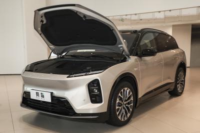 2025款 100kWh 30万台纪念版-外观-图片-有驾