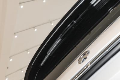 2025款 100kWh 30万台纪念版-外观-图片-有驾