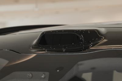 2025款 100kWh 30万台纪念版-外观-图片-有驾