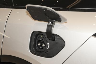 2025款 100kWh 30万台纪念版-外观-图片-有驾