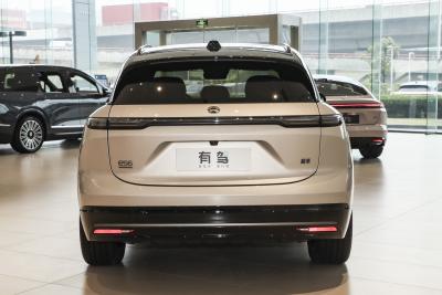 2025款 100kWh 30万台纪念版-外观-图片-有驾