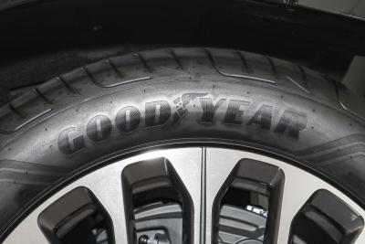 2025款 100kWh 30万台纪念版-外观-图片-有驾