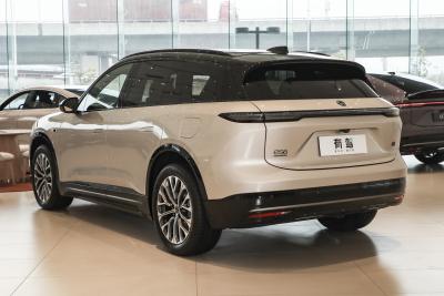 2025款 100kWh 30万台纪念版-外观-图片-有驾