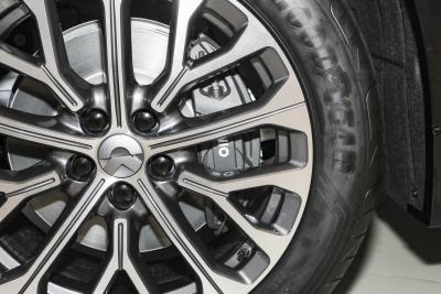 2025款 100kWh 30万台纪念版-外观-图片-有驾