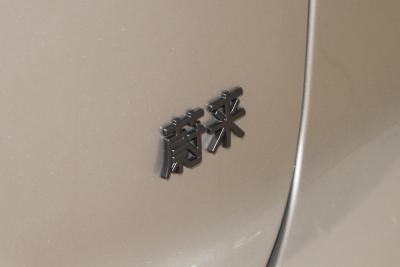 2025款 100kWh 30万台纪念版-外观-图片-有驾