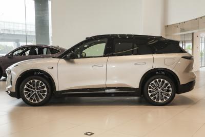 2025款 100kWh 30万台纪念版-外观-图片-有驾