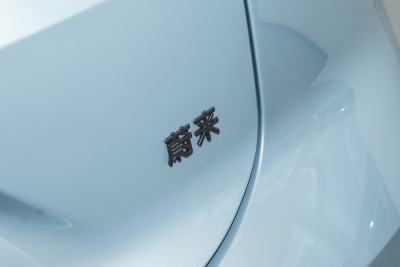 2025款 100kWh 30万台纪念版-外观-图片-有驾