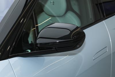 2025款 100kWh 30万台纪念版-外观-图片-有驾