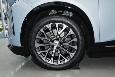 2025款 100kWh 30万台纪念版-外观-图片-有驾