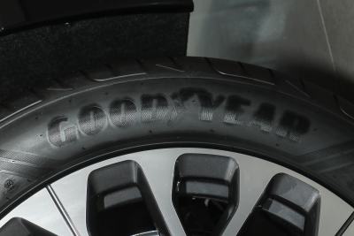 2025款 100kWh 30万台纪念版-外观-图片-有驾