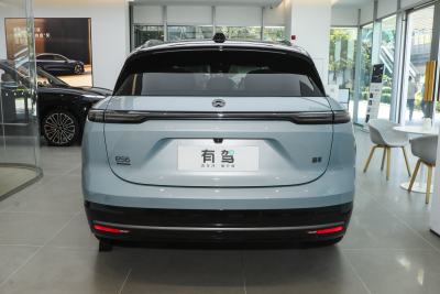 2025款 100kWh 30万台纪念版-外观-图片-有驾