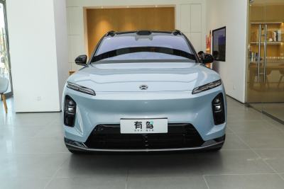 2025款 100kWh 30万台纪念版-外观-图片-有驾