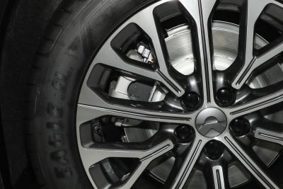 2025款 100kWh 30万台纪念版-外观-图片-有驾