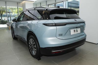 2025款 100kWh 30万台纪念版-外观-图片-有驾