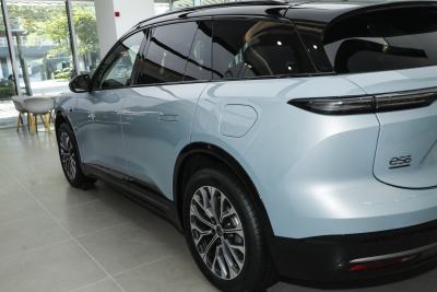 2025款 100kWh 30万台纪念版-外观-图片-有驾