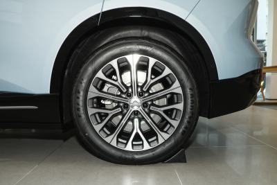 2025款 100kWh 30万台纪念版-外观-图片-有驾