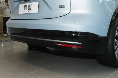 2025款 100kWh 30万台纪念版-外观-图片-有驾