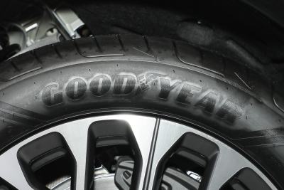 2025款 100kWh 30万台纪念版-外观-图片-有驾