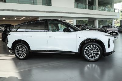 2025款 100kWh 30万台纪念版-外观-图片-有驾