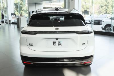 2025款 100kWh 30万台纪念版-外观-图片-有驾