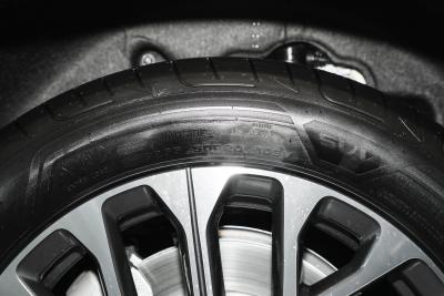 2025款 100kWh 30万台纪念版-外观-图片-有驾