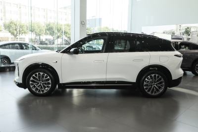 2025款 100kWh 30万台纪念版-外观-图片-有驾