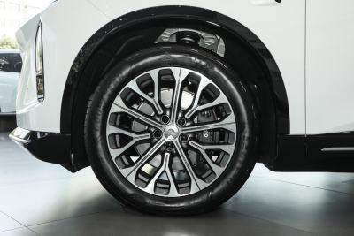 2025款 100kWh 30万台纪念版-外观-图片-有驾