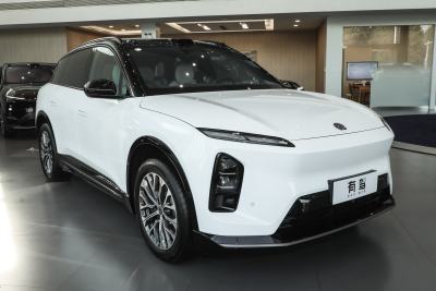 2025款 100kWh 30万台纪念版-外观-图片-有驾