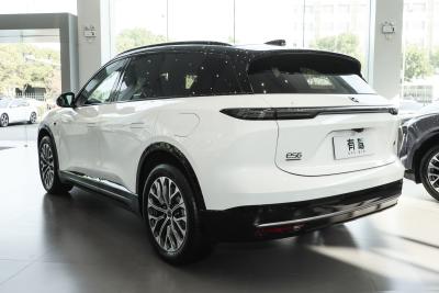 2025款 100kWh 30万台纪念版-外观-图片-有驾