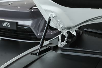 2025款 100kWh 30万台纪念版-外观-图片-有驾