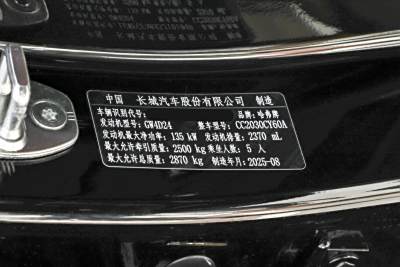 2025款 2.4T 柴油四驱勇士版-外观-图片-有驾