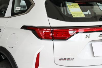 2023款 1.5T 动感型-外观-图片-有驾